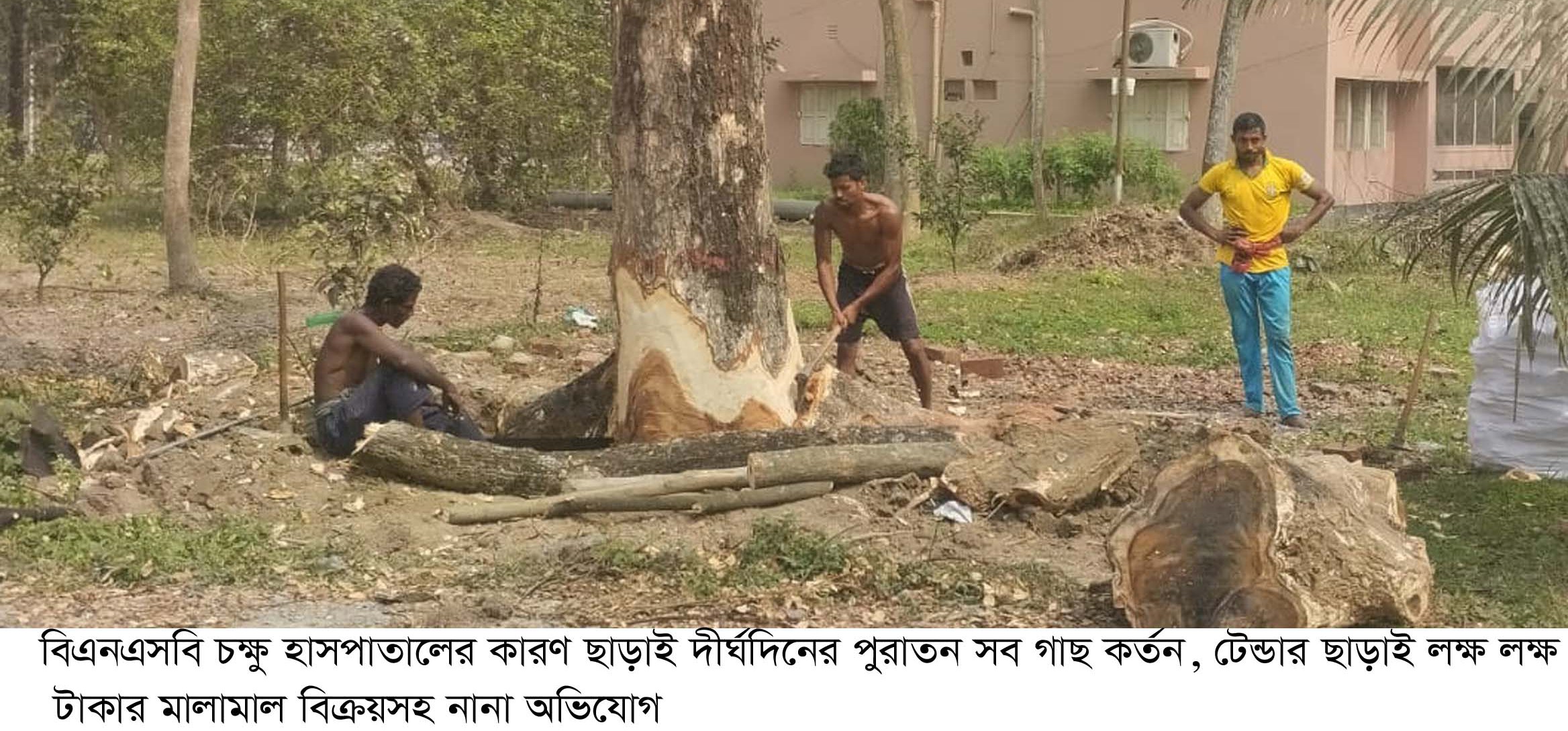 কারণ ছাড়াই পরিবেশ অধিদপ্তরকে অবহিত না করে ৩৮টি শিরিশ ও কড়াই গাছ কেটে ফেলা হলো 